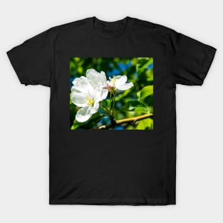 Crabapple blossoms T-Shirt